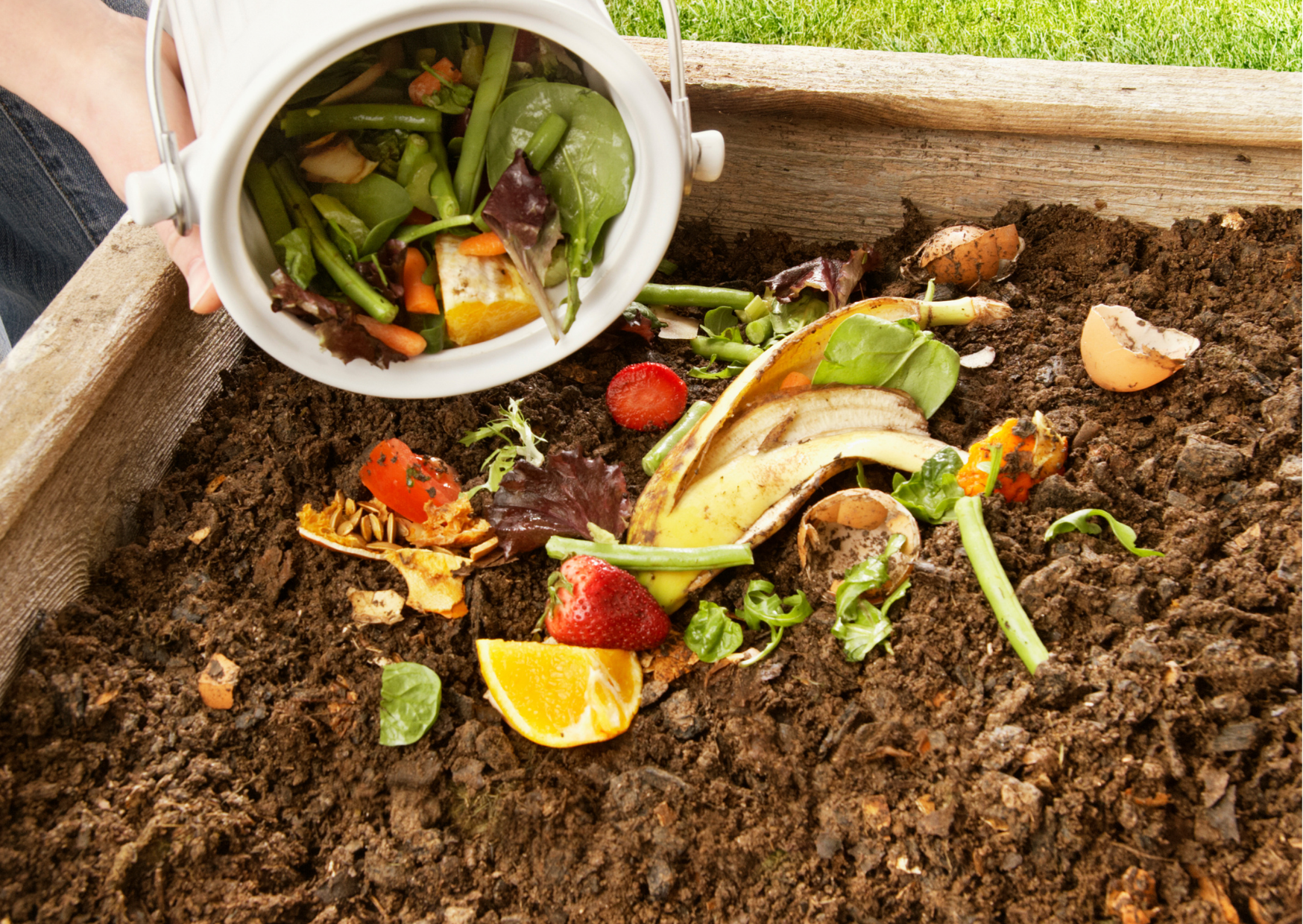 Compost, fertilizacion orgánica